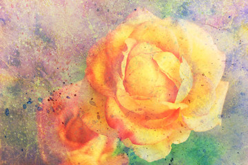 watercolor artwork with yellow roses © abigail210986