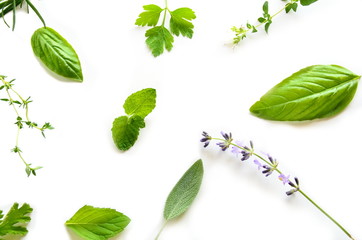herbal leaves