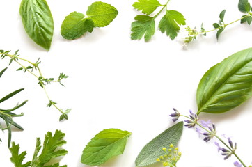 herbal leaves