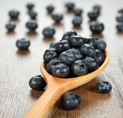Blueberries in a wooden spoon