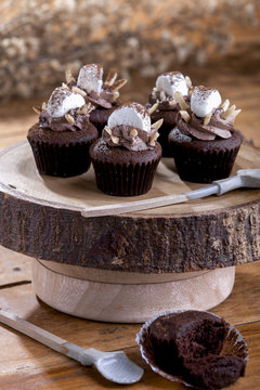 Chocolate cupcake with marshmallow