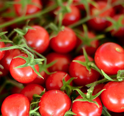 Cherry tomato closeup