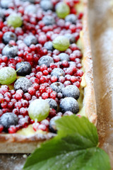square cake with berries in powdered sugar, tart