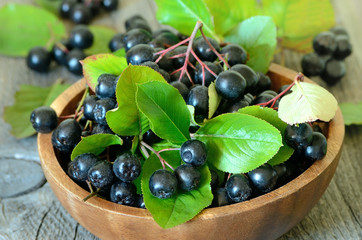 Black chokeberry in brown bowl