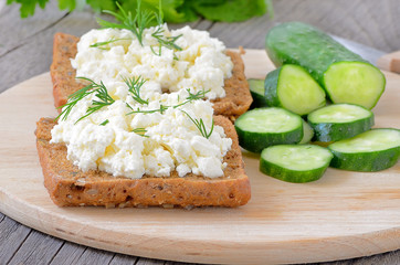 Sandwiches with curd cheese and cucumber slices