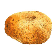 potato