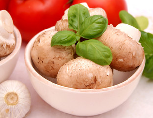 braune champignions