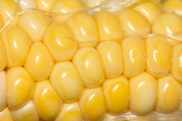 background from corn. macro