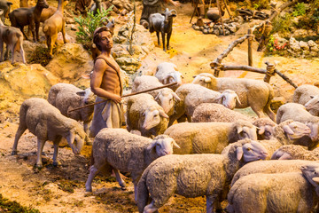 Shepherd with a herd of sheep - 55725494
