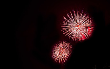 Fireworks display in the night sky