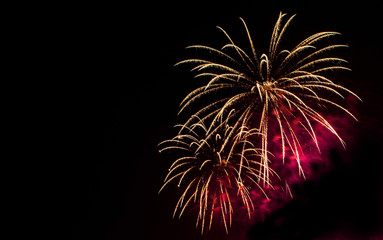 Fireworks display in the night sky