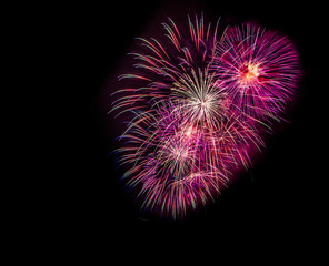 Fireworks display in the night sky