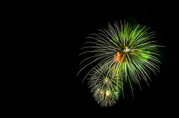 Fototapeta premium Fireworks display in the night sky