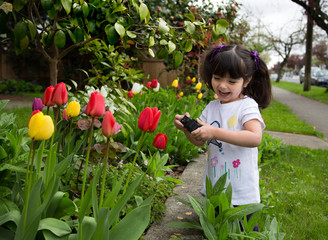 Young girl taking a picture of tulips