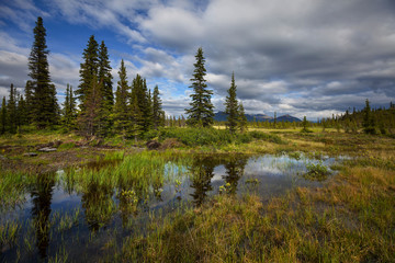 Lake on Alaska