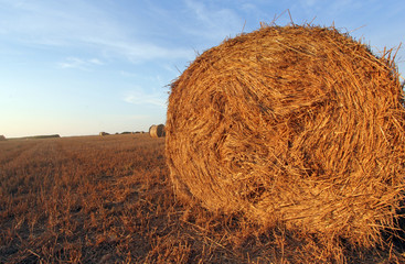 Covone di fieno