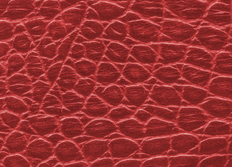 red leather texture closeup.