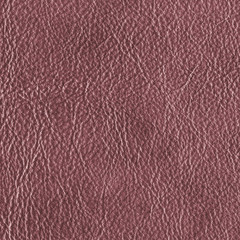  leather texture closeup.