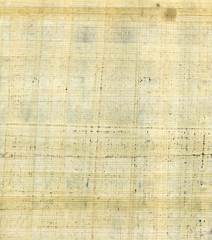 original papyrus texture