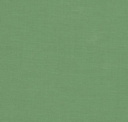 green textile texture