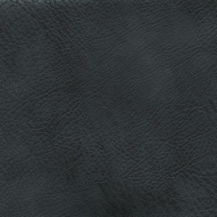 black leath r texture