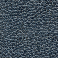  leather texture closeup.