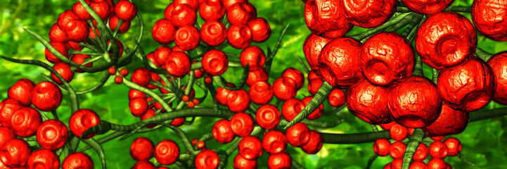 red flower panorama © neurostructure