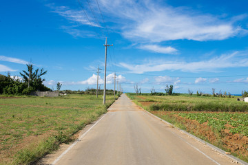 Fototapeta premium 田舎道