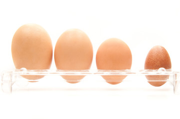 Four eggs