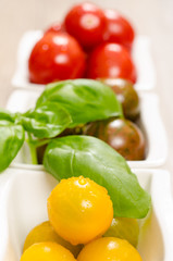 Tomaten und Basilikum im Hochformat