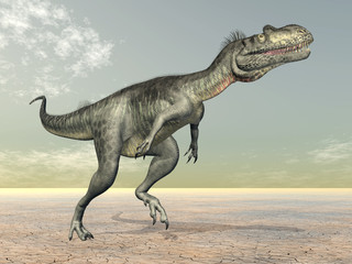Fototapeta premium Dinosaur Megalosaurus