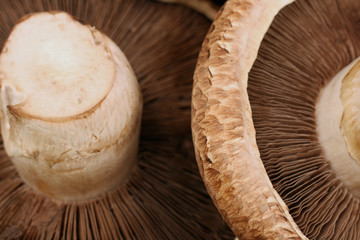 Portobello Mushrooms