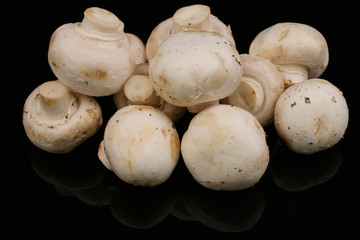 White Button Mushrooms