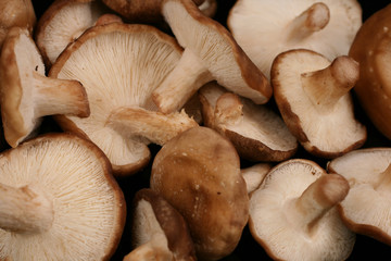 Shiitake Mushroom Caps