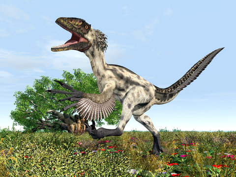 Dinosaurier Deinonychus