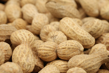 Peanuts Close Up