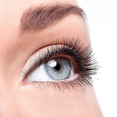 Fototapeta premium Piękno kobiece oko z curl długie sztuczne rzęsy