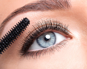 Naklejka premium Beauty female eye with long false eyelashes