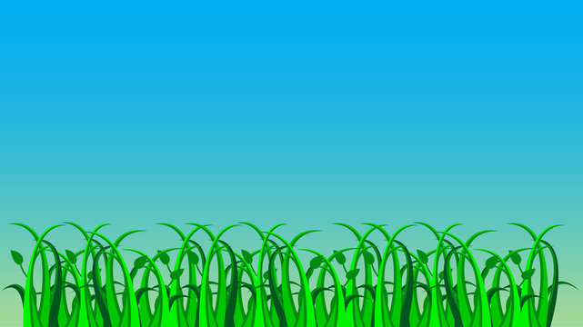 Grass, vector
