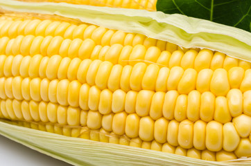 Corn