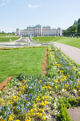 Obraz premium Belvedere Palace in Wien, Austria