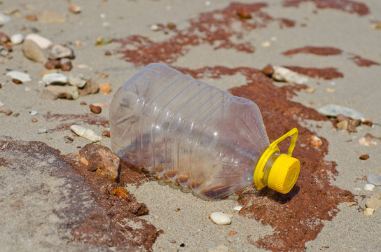waste accumulates on the beach