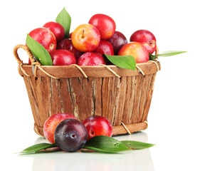 Ripe plums in basket isolated on white