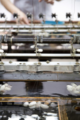 Spinning Mill - Suzhou - China