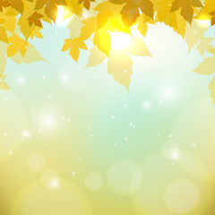 autumn background