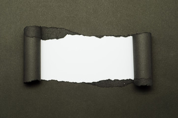 Torn Paper and space for text with white background