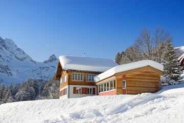 Winter in alps