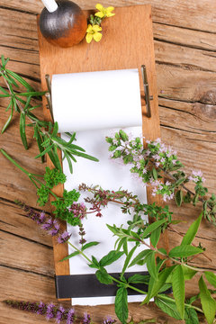 Notepad with different herbs