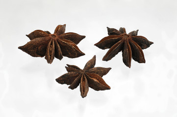 Sternanis