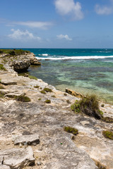 Fototapeta na wymiar Rustic Tropical Beach Coastline Antigua